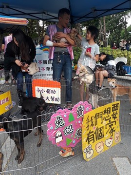 台中希望愛生命關懷協會假日送養活動