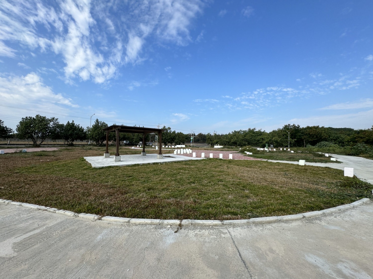 臺南市113年植樹節活動開放報名 黃偉哲市長邀請大家龍來植樹