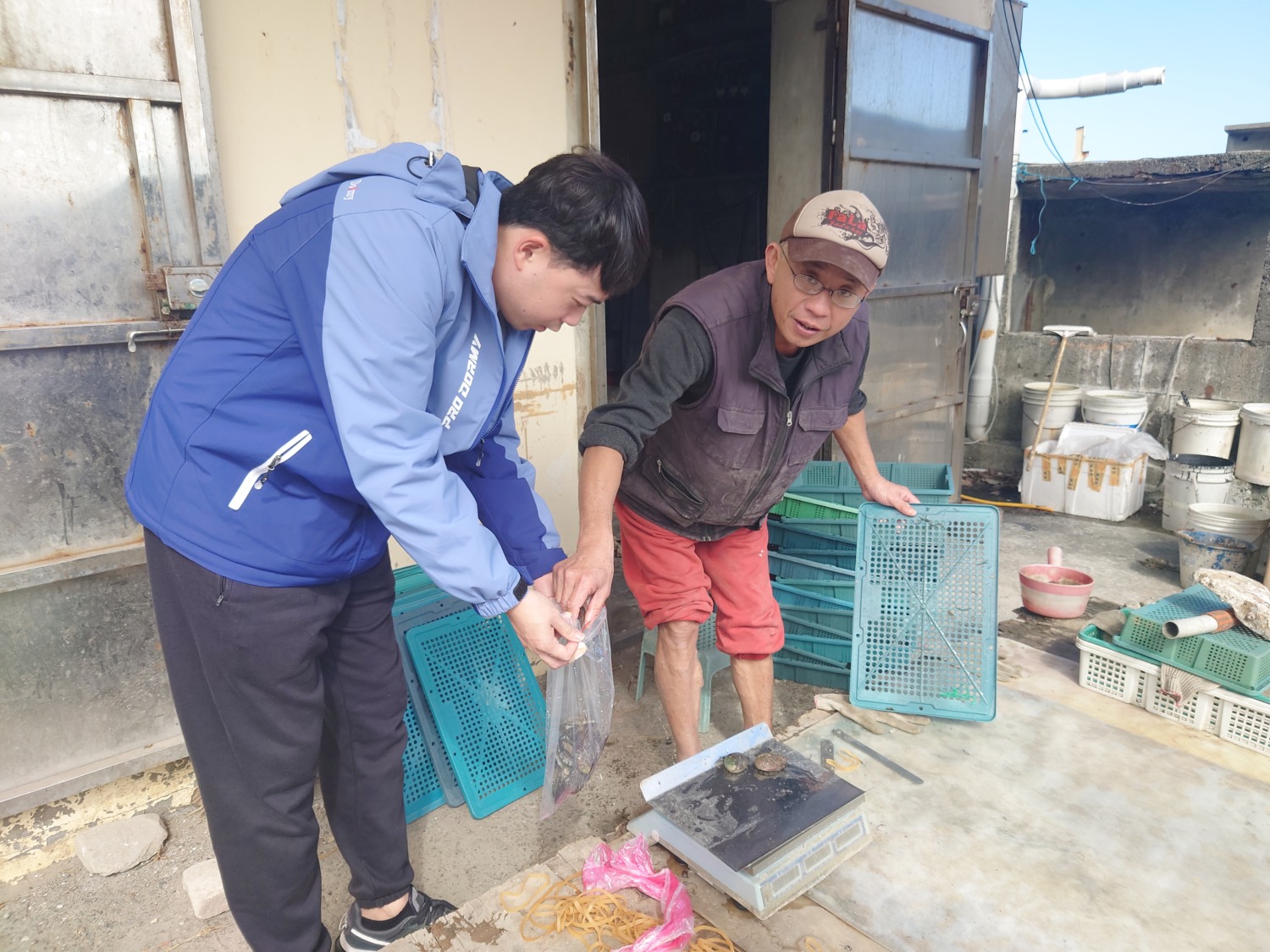 新北檢驗本地養殖水產品全合格　民眾春節可安心嘗鮮