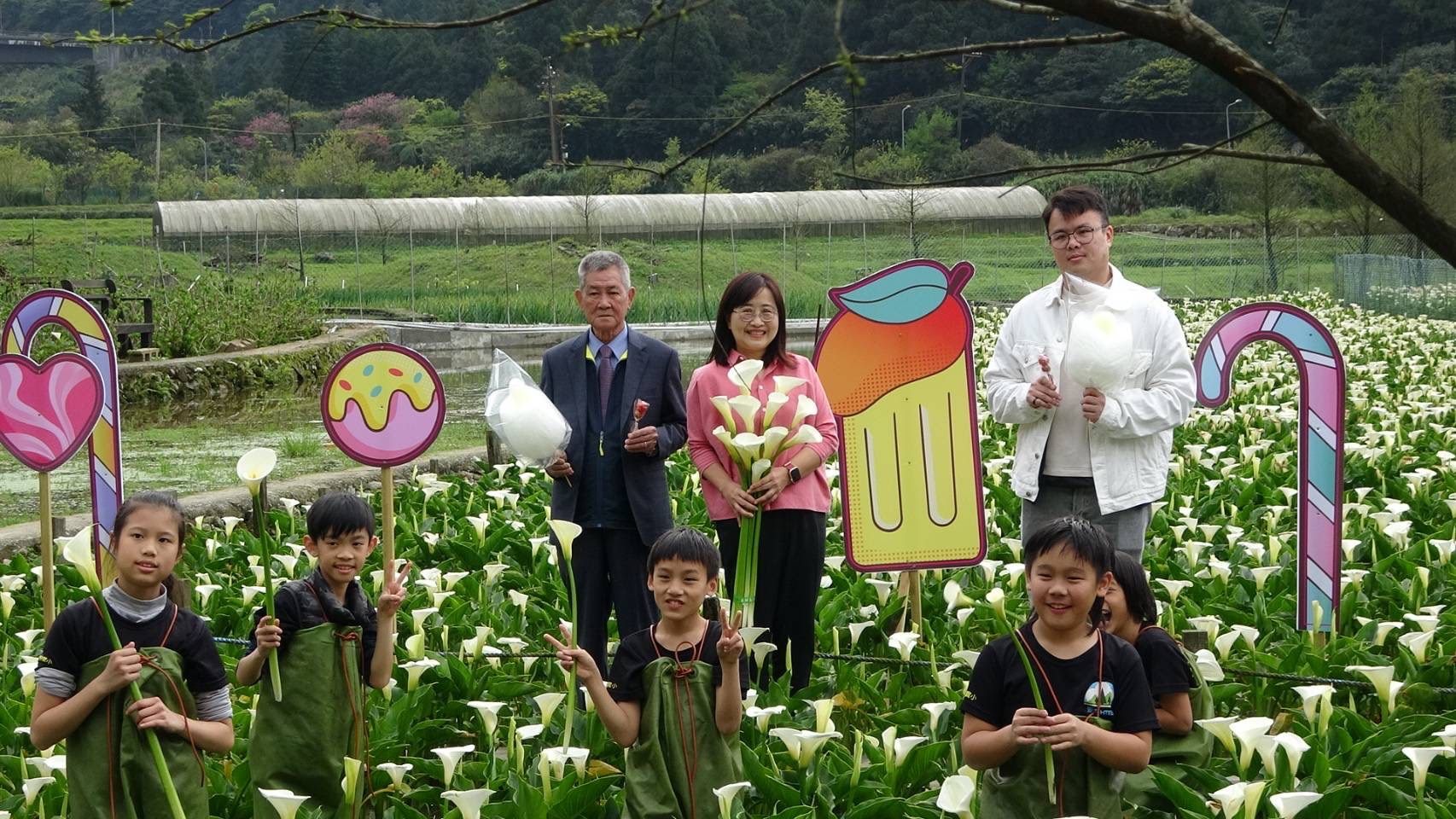 竹子湖海芋花田　見證浪漫白色情人節