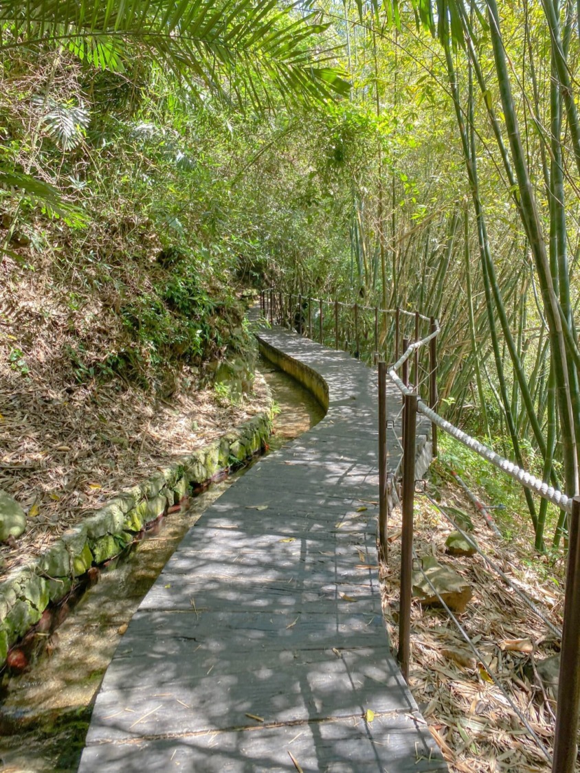 陽明山藝術季閃耀開跑　花漾農村山城景點走透透