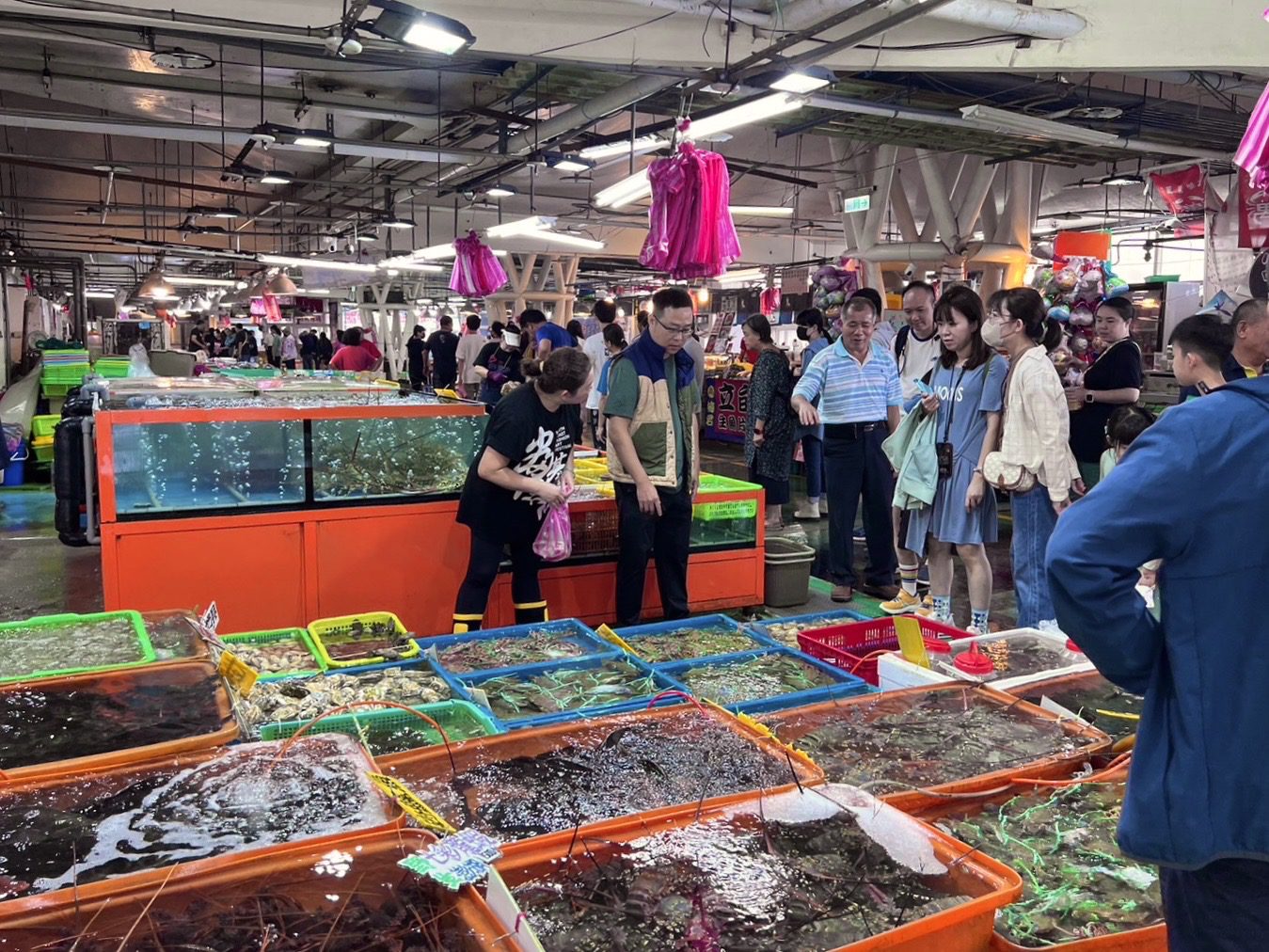 北海岸食蟹踩點　創造小確幸