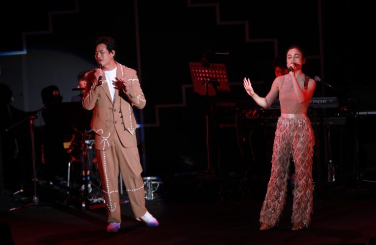 億萬歌姬的音樂饗宴　林芯儀出道20年個唱震撼登場