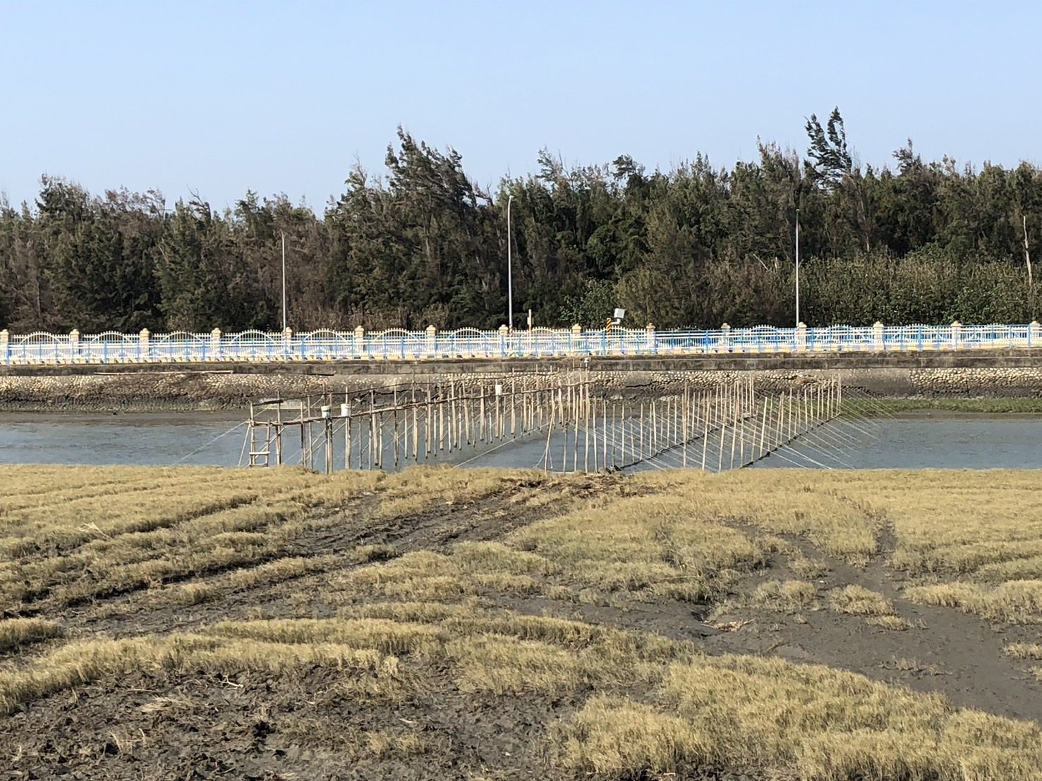 中市提醒漁民應撤除鰻苗網具 確保河道排水順暢