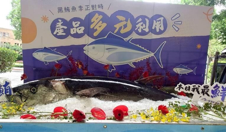最讚滋味「鮪」隨而來 多元料理把握季節限定的美味