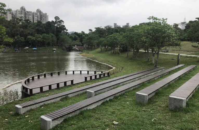 海檬果白花盛放　南港公園山水映襯如詩如畫