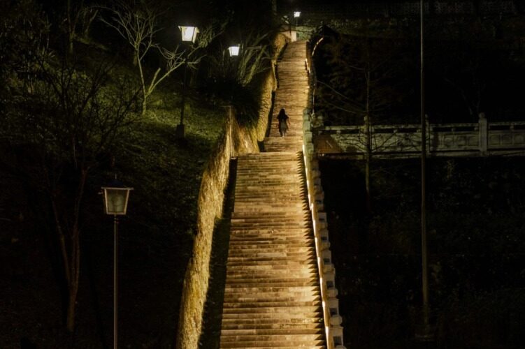 夜幕下的悠然古徑　木柵指南宮竹柏參道的靜謐之旅