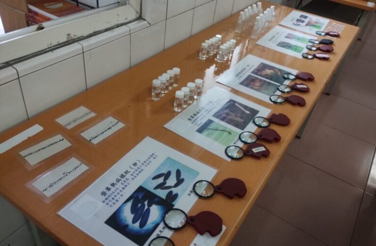 鳳山區鎮北里辦「登革熱宣導晨會」