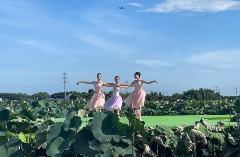 芭蕾舞蓮花！黃偉哲邀民眾親近臺南在地農漁地景藝術文化  