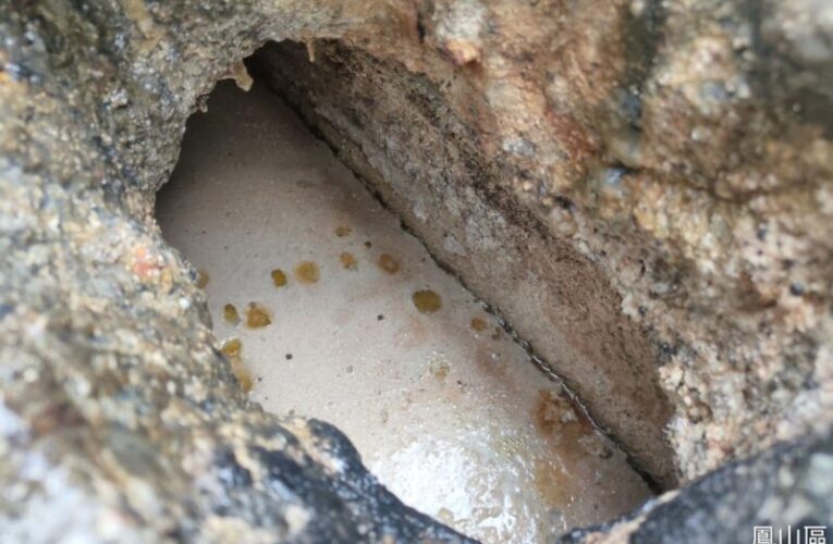 鳳山溪魚群缺氧死亡 環保局例假日持續加強稽查違規排放