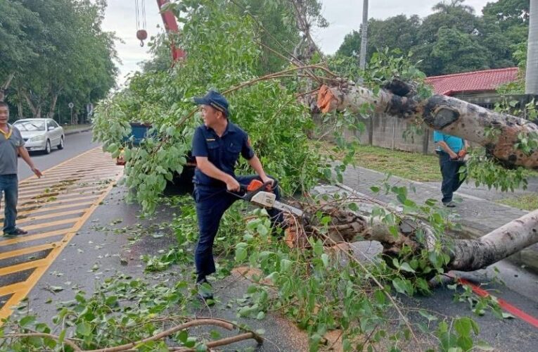 雨彈狂炸路樹橫躺車道 中興勇警急救援
