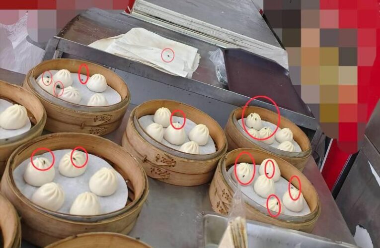 路竹區知名連鎖早餐店驚見蒼蠅小籠包 你吃下肚了嗎？