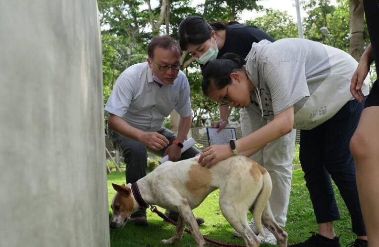 興大USR「寵物義診」通識課 收容所義診關懷犬貓