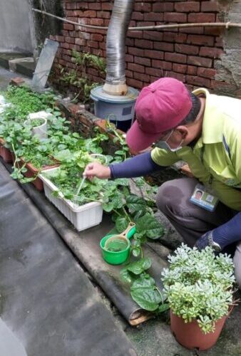 高雄市鳳山區登革熱群聚疫情 　累計共查獲282處孳生孑孓　全數開單告發