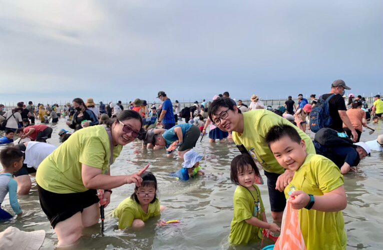 七股海鮮節7月6日登場　邀您一起挖文蛤品海鮮