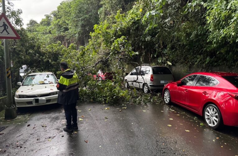 突降雷雨路樹倒塌｜文二警迅速清除恢復交通順暢