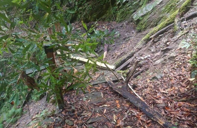 遊客小心通行　霞喀羅國家步道部分路段土石崩落樹木倒伏　