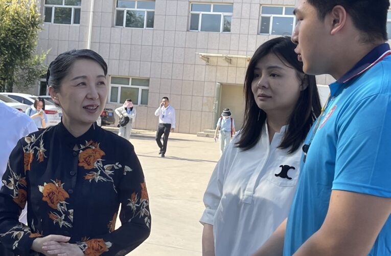 溫柔堅定 大陸國台辦首位女副主任吳璽外交官出身