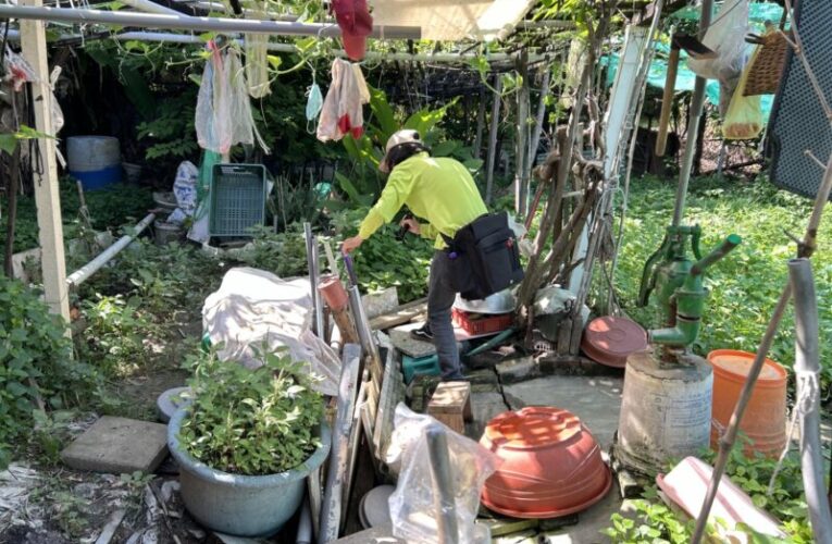 高雄市本土登革熱+0  鳳山區單日查獲18個陽性容器