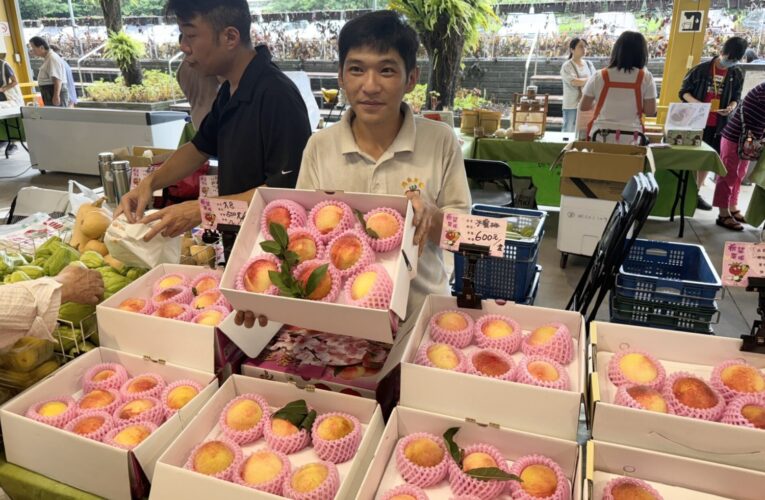 台北希望廣場展售中市優質葡萄、高接梨、水蜜桃　中市府邀民踴躍選購