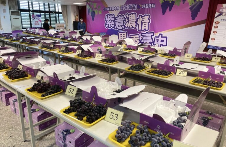 台中市優質葡萄評鑑結果揭曉　鄧秀雄勇奪巨峰葡萄達人