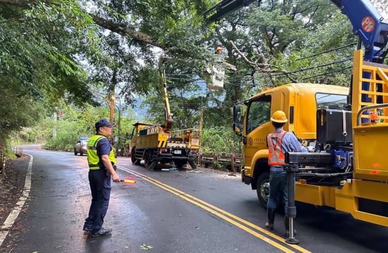 【有影】谷關溫泉巷樹倒壓電線 和平警、台電聯手清理確保行車安全