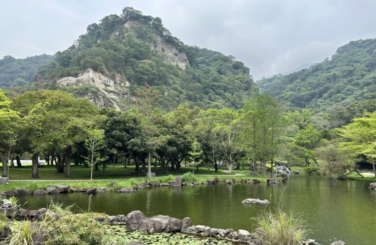 手刀要快！貴子坑生態露營報名開跑　野炊、觀星體驗生態之美