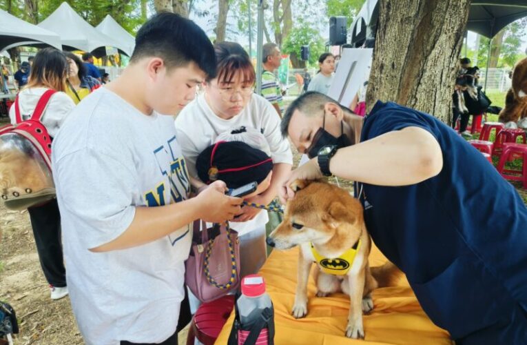 鳳山中山寵物公園「好伴公園活動」 毛孩闖關、玩水樂嬉戲！