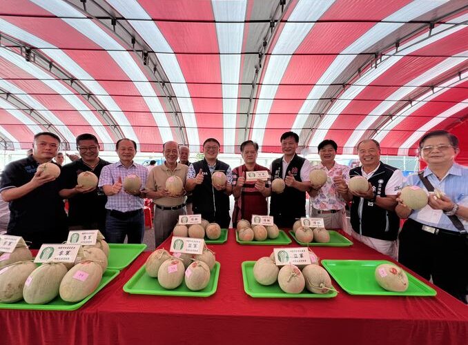 113年新屋哈蜜瓜節暨評鑑活動　農友謝阿啓獲得冠軍