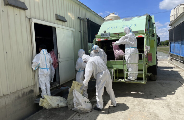 凱米颱肆虐臺南畜牧業 黃偉哲：感謝國軍支援 籲業者盡速申報災損