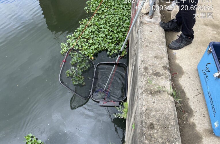 中市環保局AI科技、哨兵魚雙管齊下　提升水質監測效率