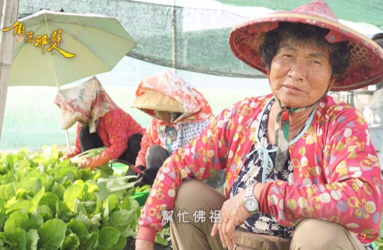 金視獎／探索在地多樣風貌 展現地方文化與人情