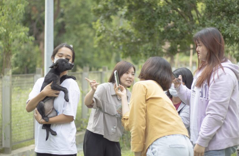 中市動保處「毛孩攝影師」新手班開課　傳授寵物網美照心法
