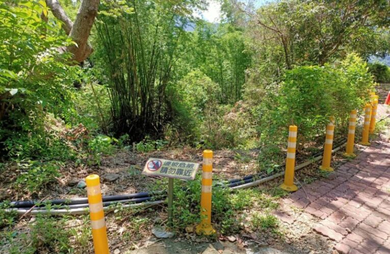 茂林野溪整治落實生態檢核 高市水利局保護紫斑蝶並兼顧部落通行安全