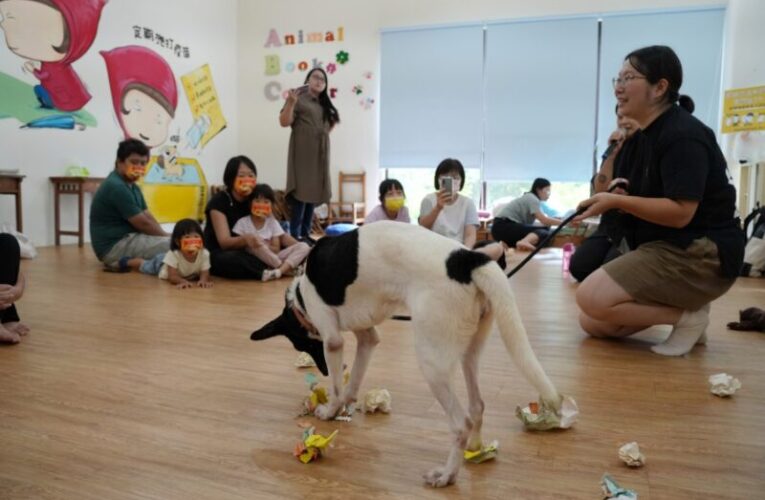讓每個人都可以幫助浪浪 高市動保處舉辦貓狗職人體驗