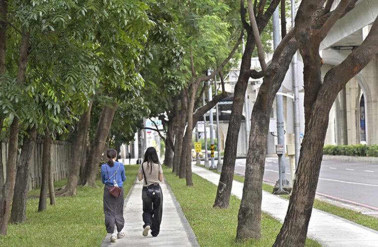 高市府改善左楠路人行環境 為演唱會疏運提供新動線