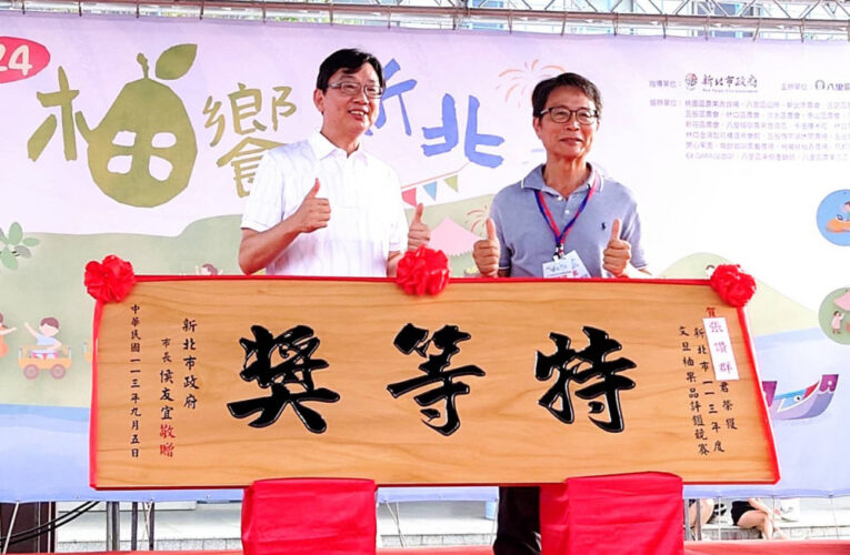 五度奪冠 八里紅秋觀光果園不惜成本種出新北冠軍柚
