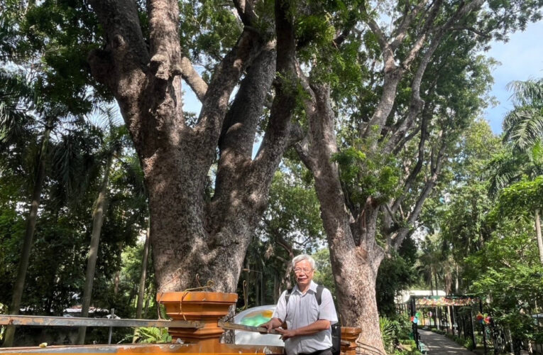傅錫琪與西貢草禽園 成大陳益源有新發現
