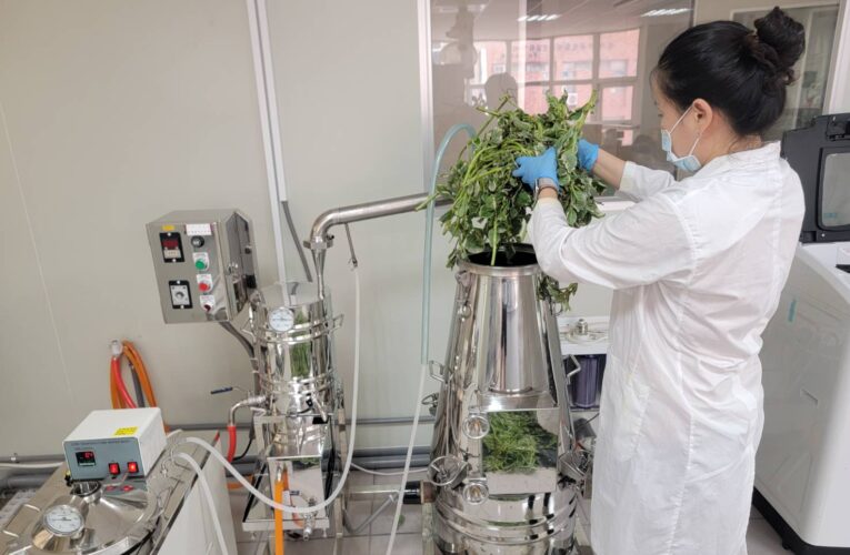 中市環保局實驗室提煉純天然防蚊噴瓶 　9/7資收活動免費兌換