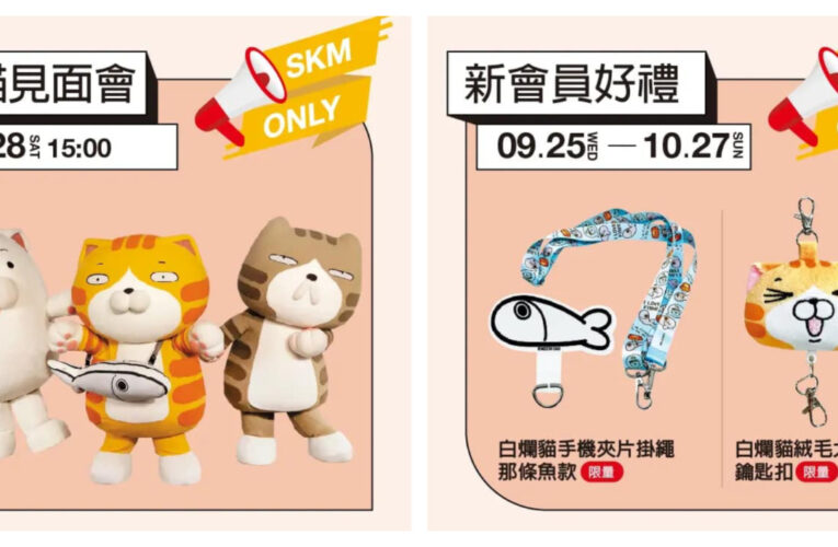 新光三越高雄三多店白爛貓快閃店  南台灣首展引爆IP商機