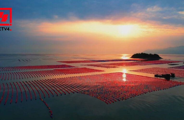 這裡拍海岸日出夕陽最美  「千鮮之鄉」宣揚海洋文化