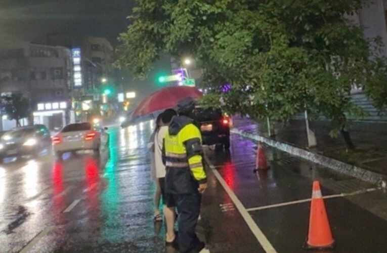 山陀兒颱狂風來襲 路樹傾斜警冒雨警戒通報相關單位處理