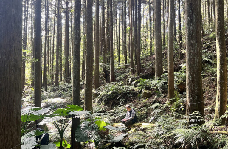 與您森林相繫　林保署新竹分署「森命之圈」耶誕手作輕旅報名趣