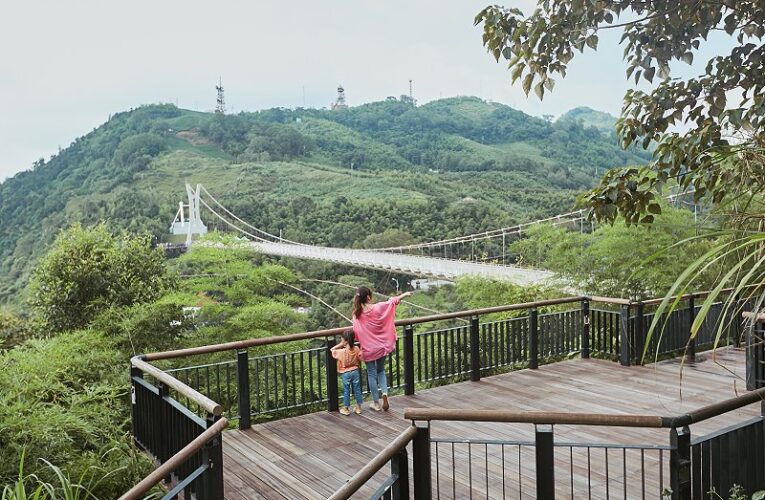 登雲梯、走步道、吃美食、玩醃梅　嘉義縣推梅山親子遊多元玩法