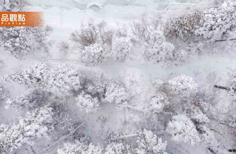 北海道預計週六迎初雪！專家警：今年恐再爆發「雪蟲危機」
