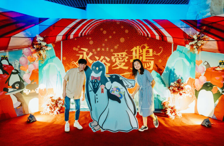 屏東海生館辦企鵝婚禮 永浴愛鵝分享冰雪互許終身喜悅抽搶手體驗名額