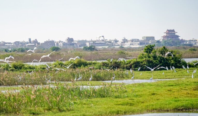 高雄觀光局推出「2024海線潮旅行」 邀您跟著達人玩翻北高海味