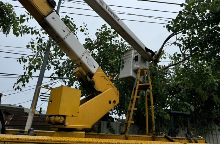 颱風來勢洶洶，台電高雄及鳳山區處全力戒備防颱 民眾可利用網路通報查詢停復電資訊 !