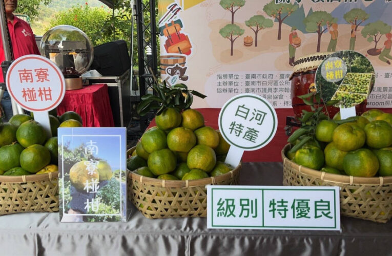 白河椪柑節：柑巴嗲爬山採椪柑×關子嶺酒柑心登場