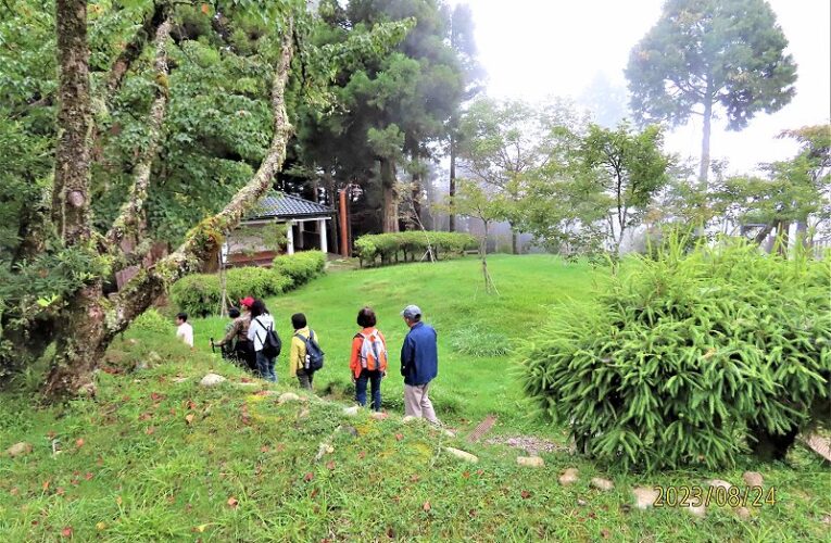 阿里山植物園　別出心裁的森林療癒場地